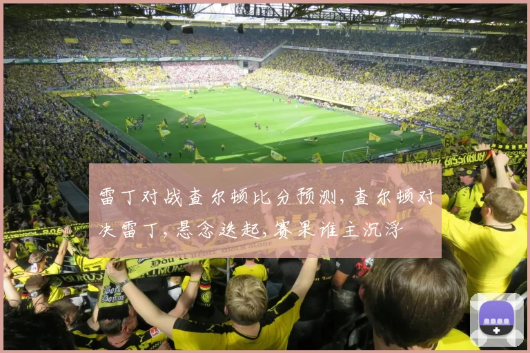 雷丁对战查尔顿比分预测,查尔顿对决雷丁,悬念迭起,赛果谁主沉浮
