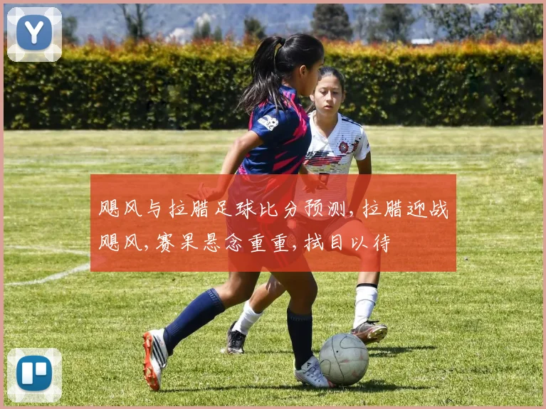 飓风与拉腊足球比分预测,拉腊迎战飓风,赛果悬念重重,拭目以待